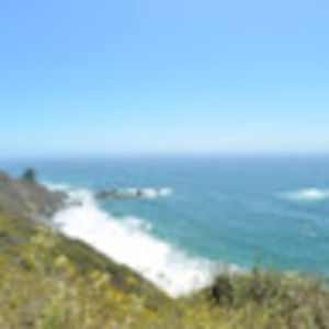 Meet your Posher, Diego